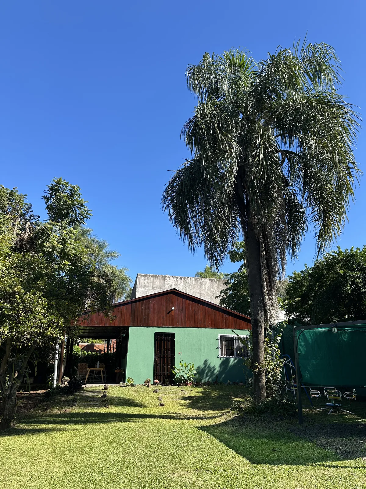 Exterior y jardín con palmera de Cabaña Cactus I